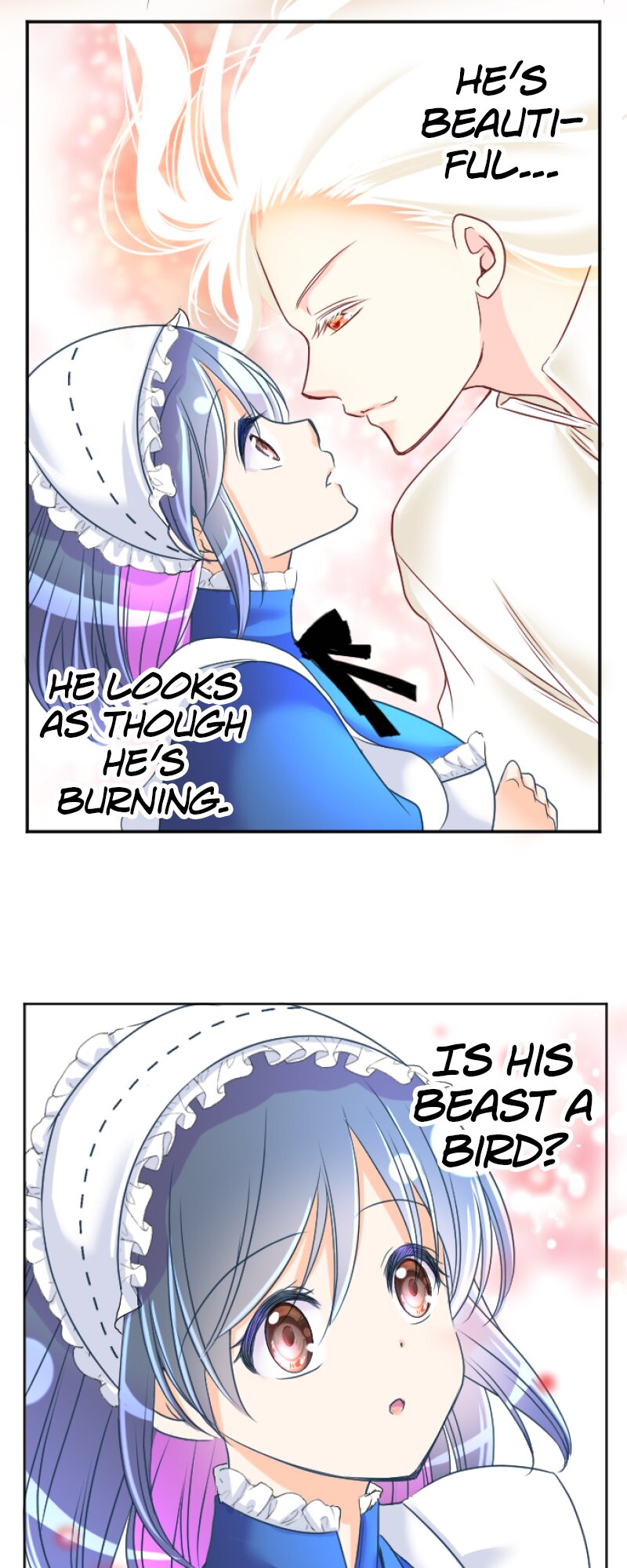 55536571 800 2000 238440